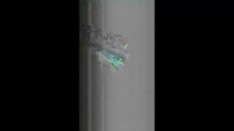 fredy621268 online show from 04-18-26, 10:19