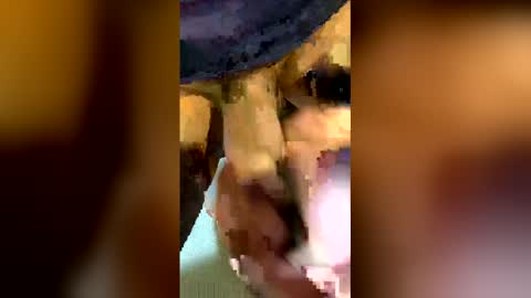 Snapshot of freestpeople chatting on 04-14-26, 01:55 freestpeople online show from 04-14-26, 01:55