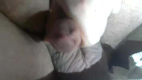 Call me Daddy online show from 02-05-25, 07:07