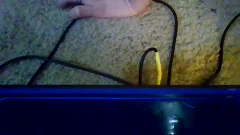 Snapshot of fresno559verga chatting on 12-17-25, 06:36 fresno559verga online show from 12-17-25, 06:36