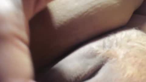 FrumCake online show from 12-06-24, 01:18