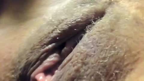 FrumCake online show from 12-30-24, 12:32