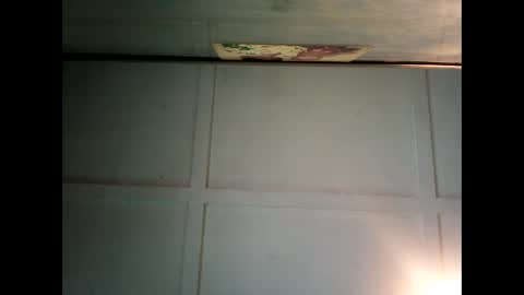 Warwick online show from 12-02-24, 12:52