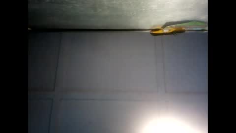 Warwick online show from 12-03-24, 07:21