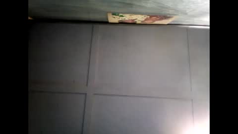 Warwick online show from 12-07-24, 08:11