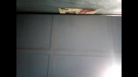 Warwick online show from 12-11-24, 07:31