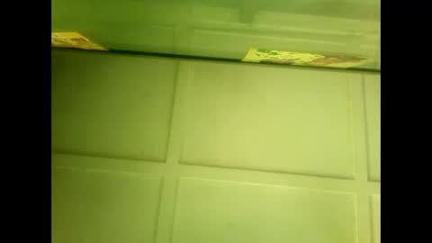 Warwick online show from 01-07-25, 05:43