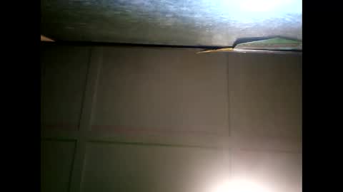 Warwick online show from 01-11-25, 09:47