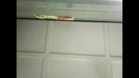 Warwick online show from 01-14-25, 06:24