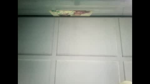 Warwick online show from 02-02-25, 10:39