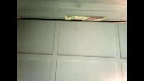 Warwick online show from 02-04-25, 04:37