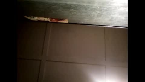 Warwick online show from 02-21-25, 11:01