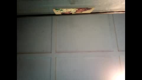 Warwick online show from 03-03-25, 06:37