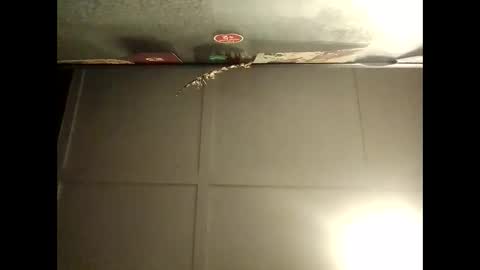 Warwick online show from 10-08-25, 08:12