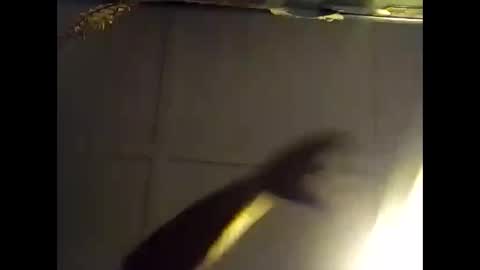 Warwick online show from 10-28-25, 07:34