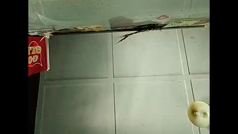 Warwick online show from 12-03-25, 02:41