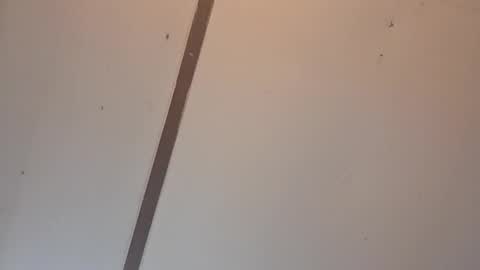 Astrid online show from 04-03-26, 02:09