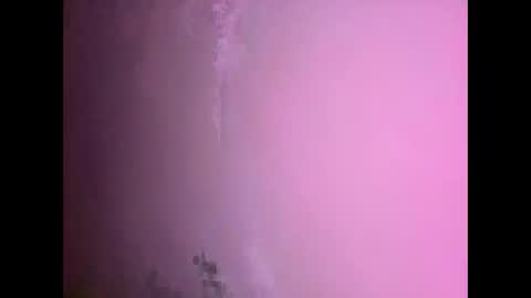 Snapshot of fungi4591 chatting on 11-17-25, 07:30 Daniel kim online show from 11-17-25, 07:30