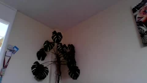 funn333222 online show from 06-15-26, 10:28