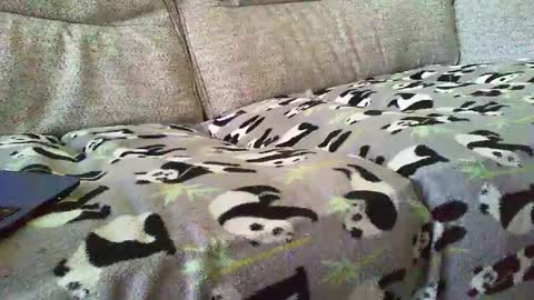 Snapshot of funslimguy chatting on 12-30-24, 03:46 Funslimguy online show from 12-30-24, 03:46