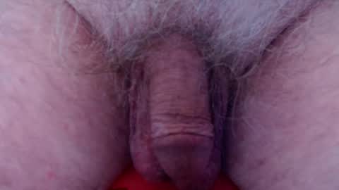 Snapshot of fuzzzman chatting on 02-28-25, 08:09 Mark online show from 02-28-25, 08:09