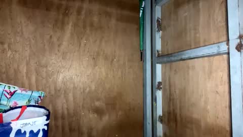 fvckingscarlet online show from 11-23-25, 12:10