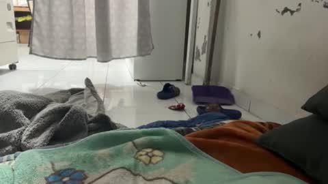 Snapshot of gab021593 chatting on 12-22-25, 01:30 gab021593 online show from 12-22-25, 01:30