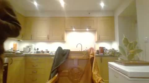 Snapshot of galacx chatting on 12-31-24, 05:40 galacx online show from 12-31-24, 05:40