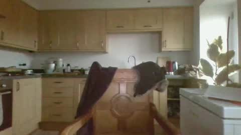 Snapshot of galacx chatting on 02-21-25, 04:48 galacx online show from 02-21-25, 04:48