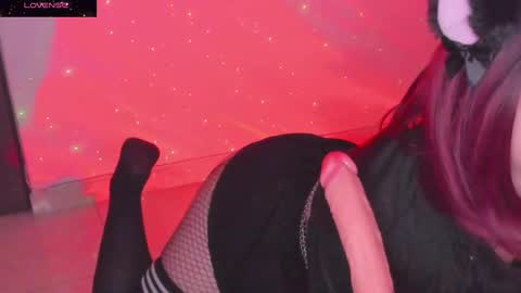 Snapshot of galaxgnn chatting on 01-06-25, 02:48 PROXIMO SHOW NOVIEMBRE 16 NEXT SHOW NOVEMBER 16 online show from 01-06-25, 02:48