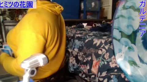 Gardenia online show from 12-28-24, 02:22