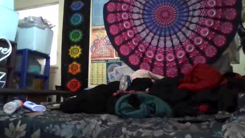 Gardenia online show from 03-29-26, 11:38