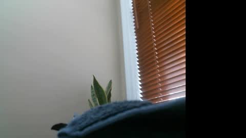 Snapshot of garters3350 chatting on 12-27-24, 07:14 Lisa online show from 12-27-24, 07:14