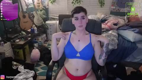 Snapshot of garthvoncoole chatting on 12-04-25, 02:54 HarperxLotus online show from 12-04-25, 02:54