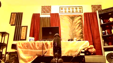 Snapshot of gatewaylaptop2019 chatting on 03-09-25, 02:10 gatewaylaptop2019 online show from 03-09-25, 02:10