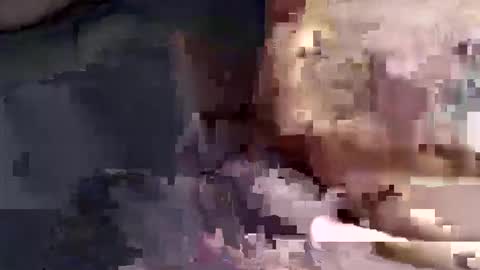 gatinhow82 online show from 03-26-26, 02:50