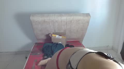 gatita13333321 online show from 01-20-25, 01:42