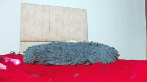 gatita13333321 online show from 01-26-25, 05:56