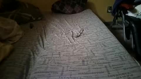 Snapshot of gazdadoka chatting on 02-14-25, 02:23 gazdadjoka online show from 02-14-25, 02:23