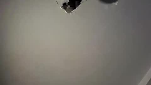 gazg1984 online show from 01-14-25, 12:33