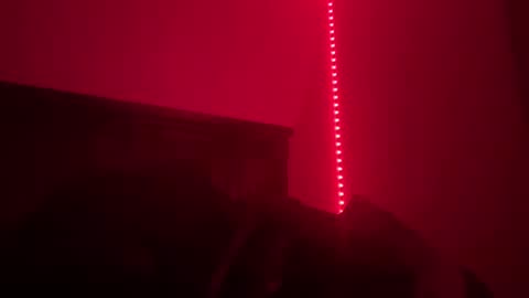 Snapshot of geisha_tara chatting on 12-10-24, 08:51 Tara online show from 12-10-24, 08:51