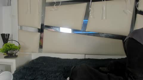 Genesis online show from 11-17-25, 03:34