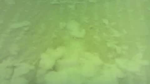 georgempt online show from 06-15-26, 05:42