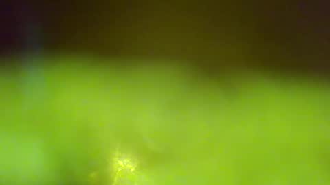 Snapshot of germanandy71 chatting on 01-06-26, 06:50 germanandy71 online show from 01-06-26, 06:50