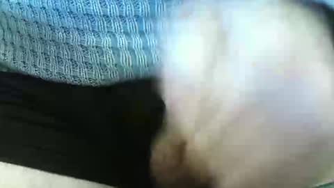 Snapshot of germandaddydick1 chatting on 06-04-26, 03:29 germandaddydick1 online show from 06-04-26, 03:29