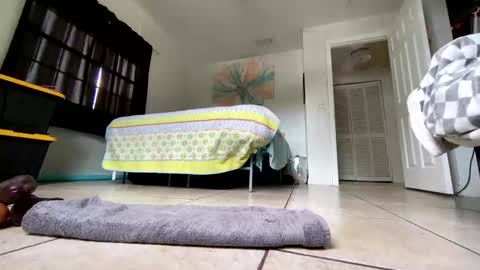 Snapshot of getngetout88 chatting on 03-19-26, 06:23 Getngetout88 online show from 03-19-26, 06:23