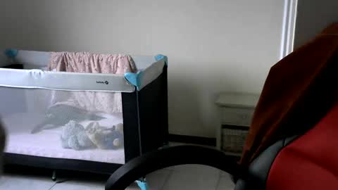 Snapshot of gh1952ma chatting on 02-24-25, 07:55 Gisse online show from 02-24-25, 07:55