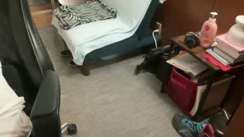 ghostboygbc online show from 04-16-26, 02:23