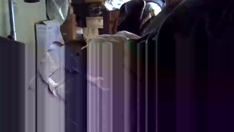 Snapshot of gicobest chatting on 01-19-26, 10:19 Corrado online show from 01-19-26, 10:19