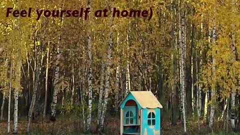 Snapshot of girl_u_never_met chatting on 02-22-26, 05:33 Kristin online show from 02-22-26, 05:33